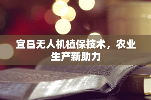 宜昌无人机植保技术，农业生产新助力