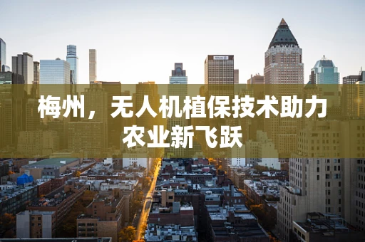梅州，无人机植保技术助力农业新飞跃