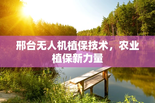 邢台无人机植保技术，农业植保新力量
