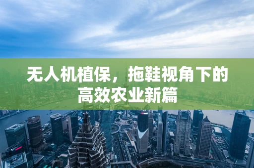 无人机植保，拖鞋视角下的高效农业新篇