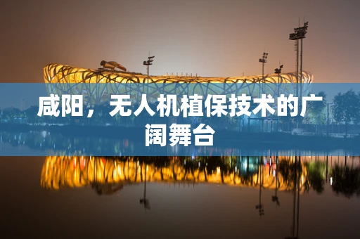 咸阳，无人机植保技术的广阔舞台