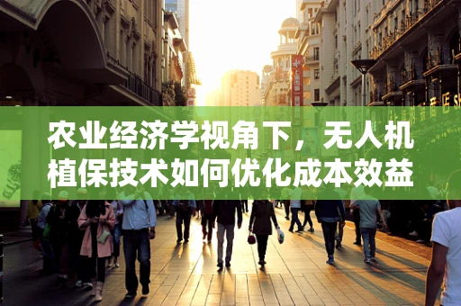 农业经济学视角下，无人机植保技术如何优化成本效益比？