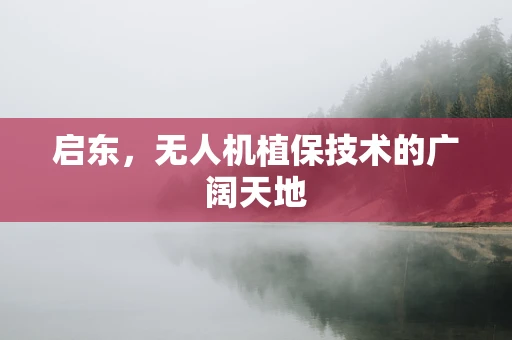 启东，无人机植保技术的广阔天地