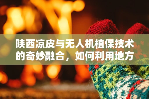 陕西凉皮与无人机植保技术的奇妙融合，如何利用地方特色提升农业智能化水平？