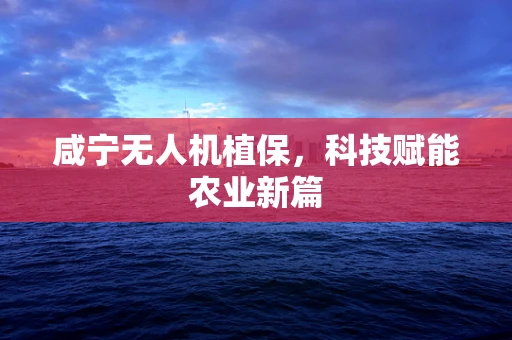 咸宁无人机植保，科技赋能农业新篇