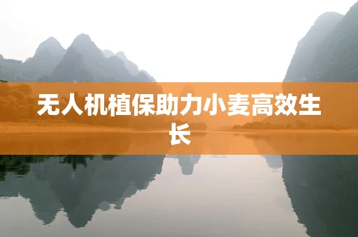 无人机植保助力小麦高效生长