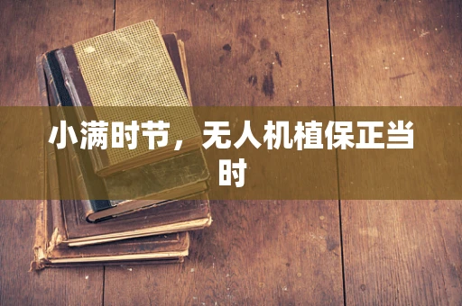 小满时节，无人机植保正当时