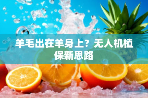羊毛出在羊身上？无人机植保新思路