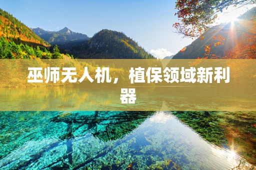 巫师无人机，植保领域新利器