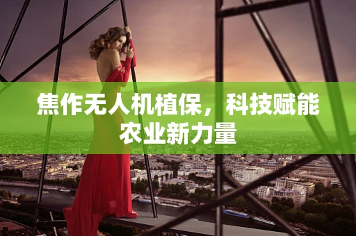 焦作无人机植保，科技赋能农业新力量