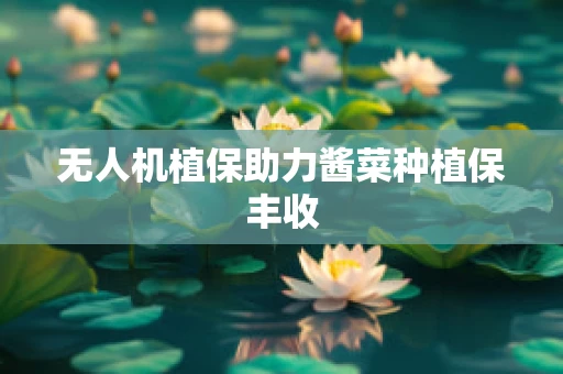 无人机植保助力酱菜种植保丰收