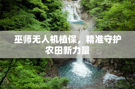 巫师无人机植保，精准守护农田新力量