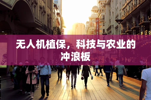无人机植保，科技与农业的冲浪板