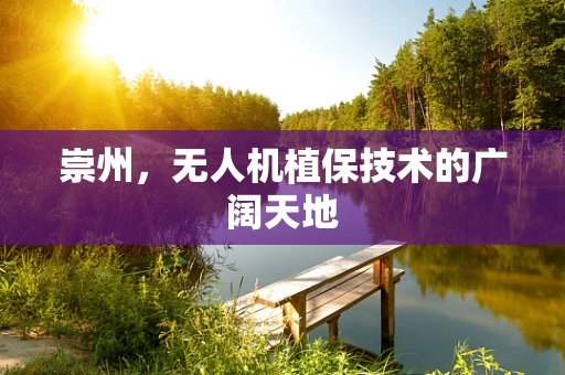 崇州，无人机植保技术的广阔天地