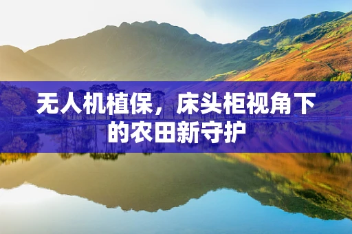 无人机植保，床头柜视角下的农田新守护
