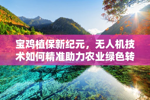 宝鸡植保新纪元，无人机技术如何精准助力农业绿色转型？