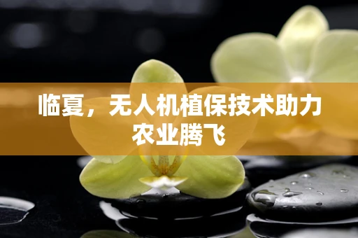 临夏，无人机植保技术助力农业腾飞