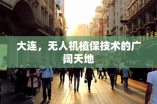 大连，无人机植保技术的广阔天地
