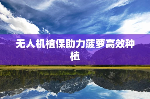 无人机植保助力菠萝高效种植