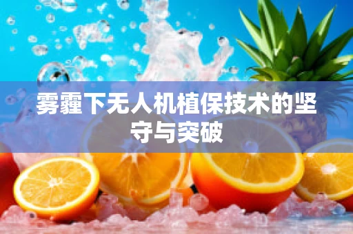 雾霾下无人机植保技术的坚守与突破
