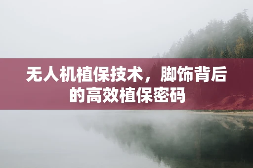 无人机植保技术，脚饰背后的高效植保密码