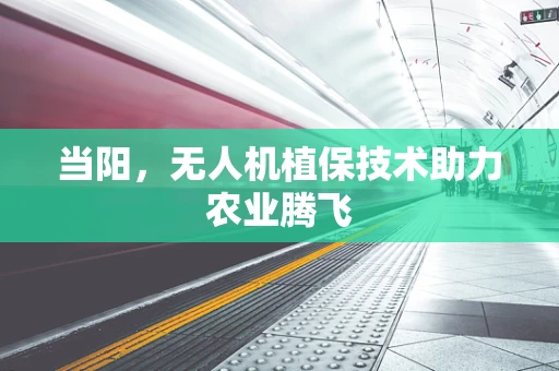 当阳，无人机植保技术助力农业腾飞