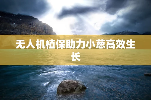 无人机植保助力小葱高效生长