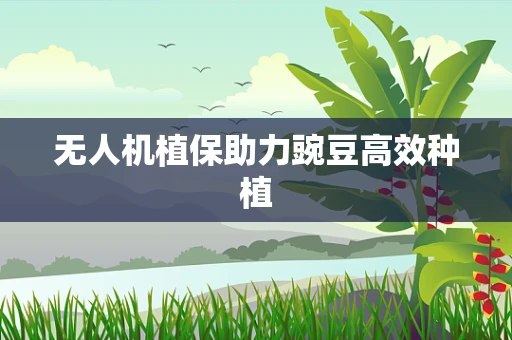 无人机植保助力豌豆高效种植
