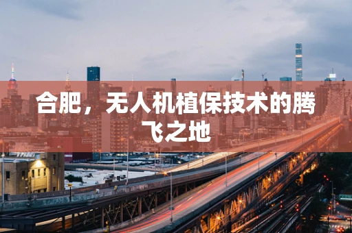合肥，无人机植保技术的腾飞之地
