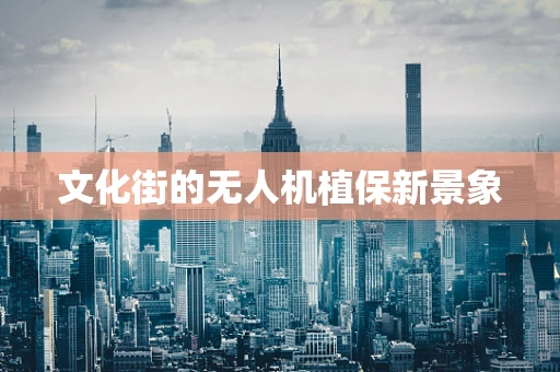 文化街的无人机植保新景象