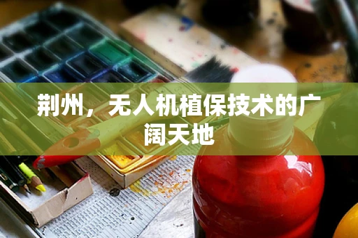 荆州，无人机植保技术的广阔天地