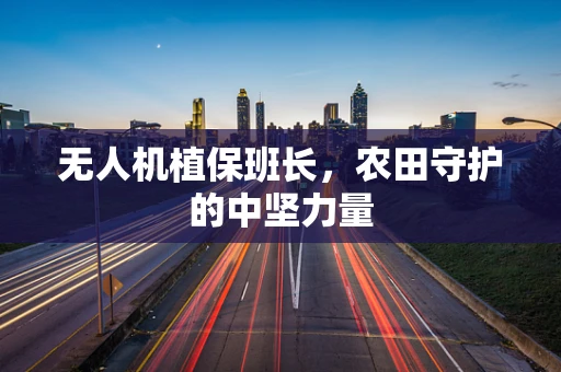 无人机植保班长，农田守护的中坚力量