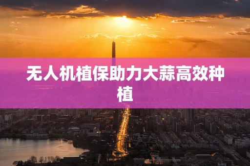 无人机植保助力大蒜高效种植