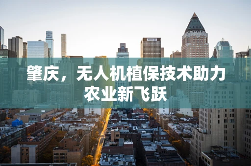 肇庆，无人机植保技术助力农业新飞跃