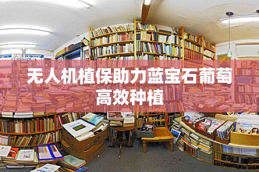 无人机植保助力蓝宝石葡萄高效种植