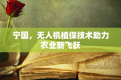 宁国，无人机植保技术助力农业新飞跃