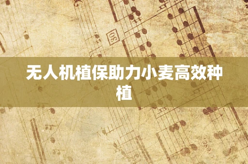 无人机植保助力小麦高效种植