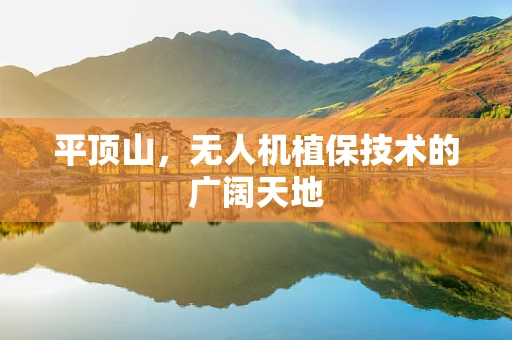 平顶山，无人机植保技术的广阔天地
