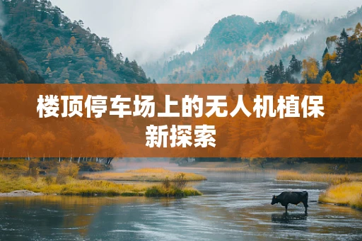 楼顶停车场上的无人机植保新探索