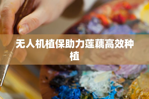 无人机植保助力莲藕高效种植