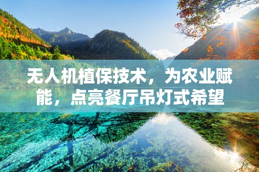 无人机植保技术，为农业赋能，点亮餐厅吊灯式希望
