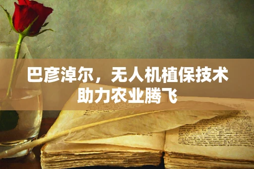 巴彦淖尔，无人机植保技术助力农业腾飞