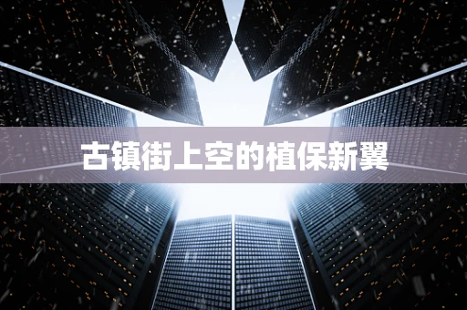 古镇街上空的植保新翼