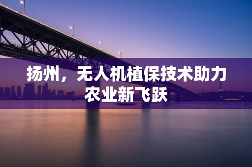 扬州，无人机植保技术助力农业新飞跃