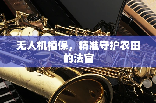 无人机植保，精准守护农田的法官