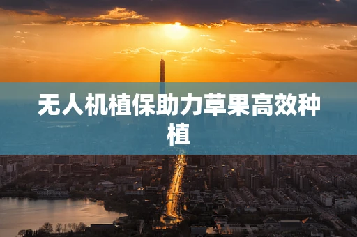 无人机植保助力草果高效种植