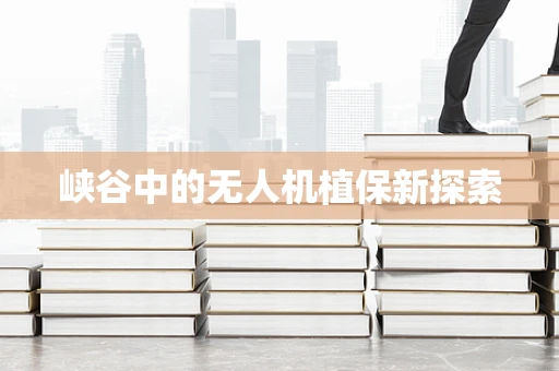 峡谷中的无人机植保新探索