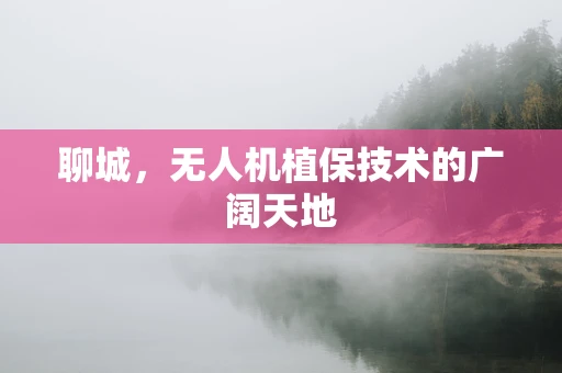 聊城，无人机植保技术的广阔天地