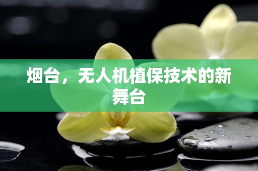 烟台，无人机植保技术的新舞台