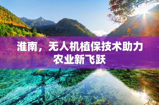 淮南，无人机植保技术助力农业新飞跃